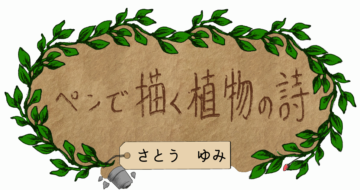 ペンで描く植物の詩